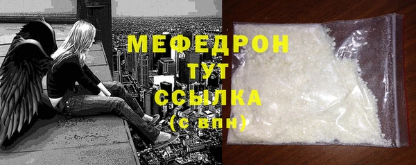 шишки Няндома